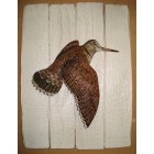 Sticker autocollant Bécasse - Autres accessoires auto ...