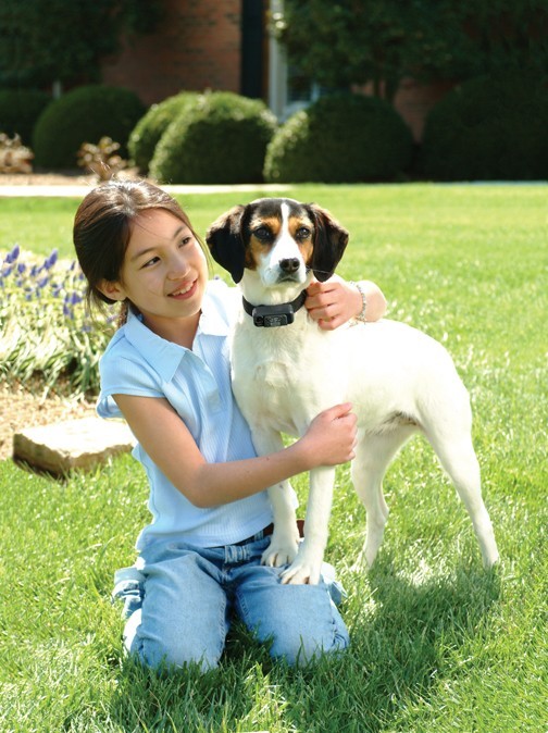 Collier de dressage 100 M Trainer - Petit chien - Colliers Collier de dressage 100 M Trainer - Petit chien - Colliers