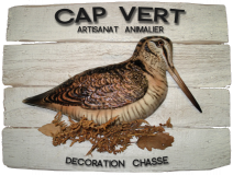 Cap Vert