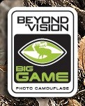BeyondVision Big Game