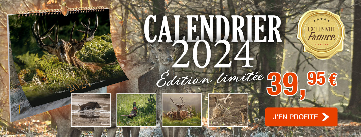 Calendrier Allard 2024