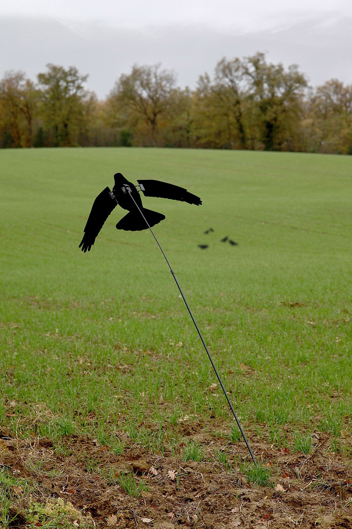Sifflet D'appel Pour Corbeau Didiseaon – Imitation Réaliste – Outil De Chasse, Protection Agricole Et Observation Extérieure