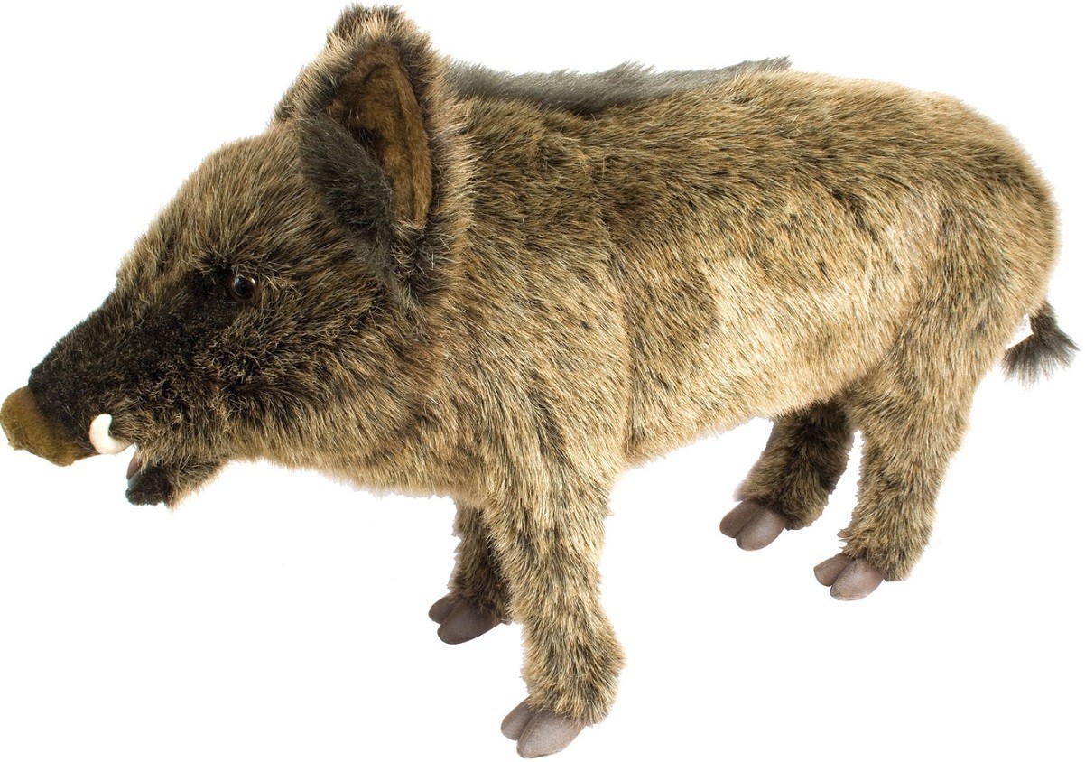Peluche sanglier online