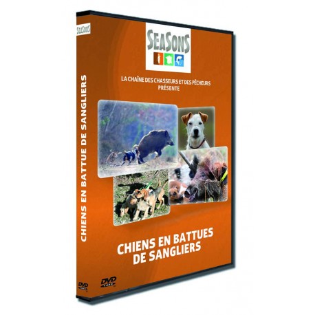 Chiens en battues de sangliers