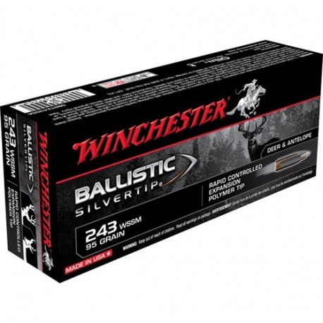 Cartouche Winchester / cal. 243 WSSM - Ballistic Silvertip 6.16 g