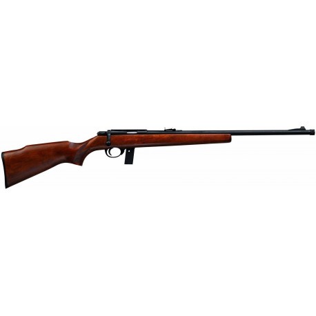 Carabine 22LR Armscor
