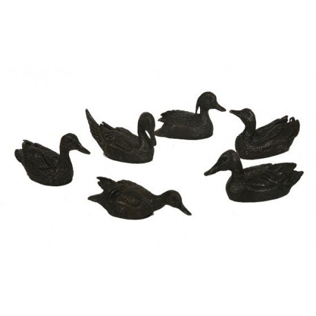 Etain Canards / 6 espèces
