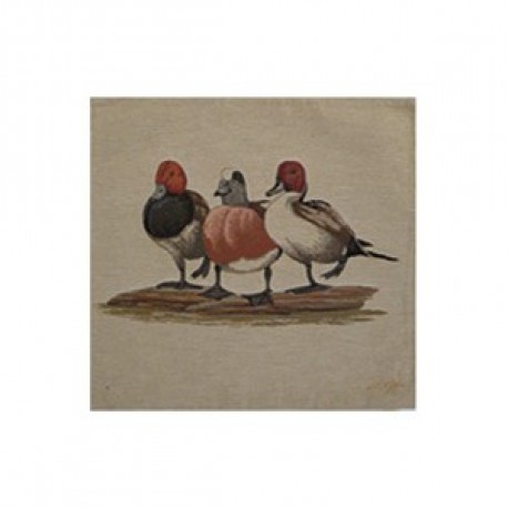 Coussin Canards 1