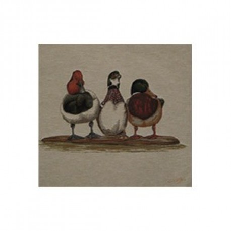 Coussin Canards 2
