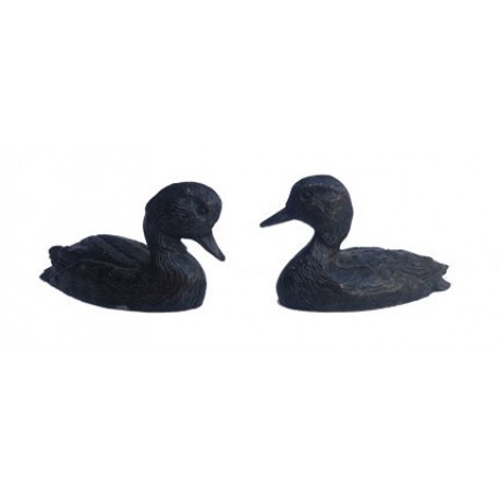Etain Canards / 2 espèces