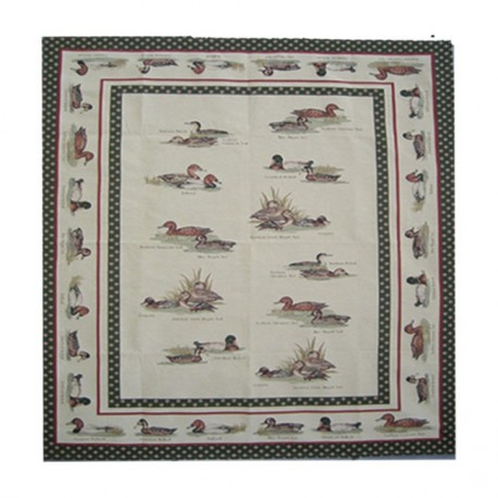 Nappe Canards
