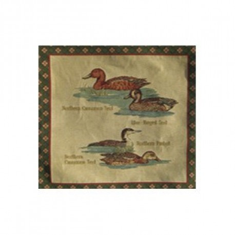 Coussin Canards 4