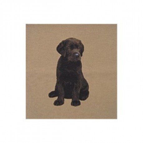 Coussin Labrador noir