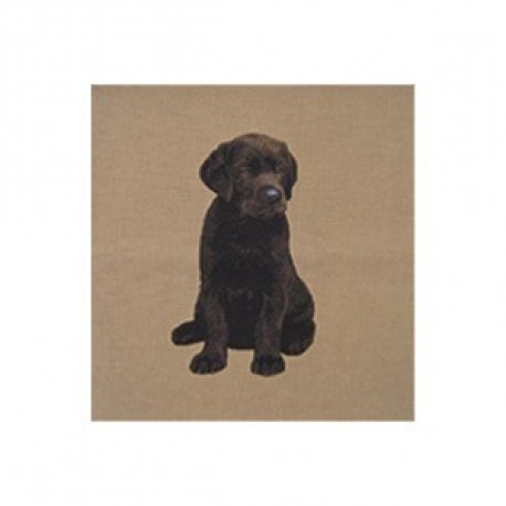 Coussin Labrador noir