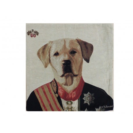 Coussin chien habillé 6