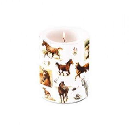 Bougie Chevaux