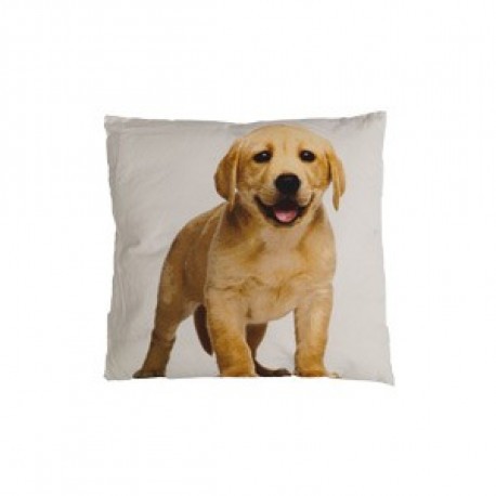 Coussin toile Labrador sable