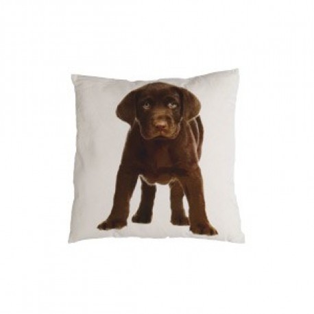 Coussin toile Labrador chocolat