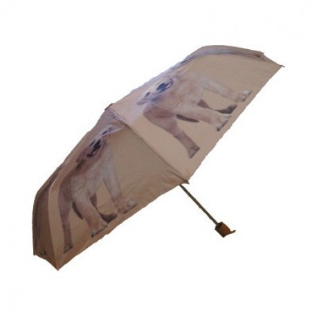 Parapluie Labrador sable