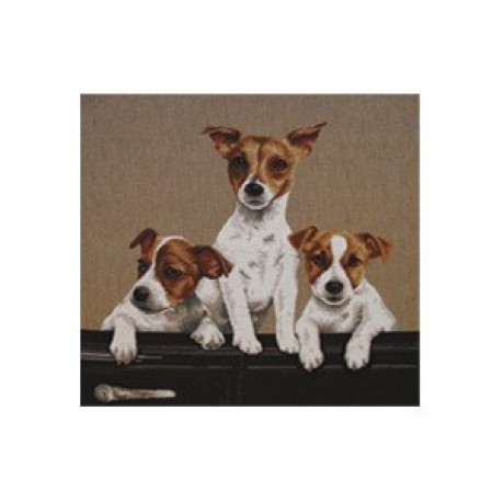 Coussin 3 Jack russel