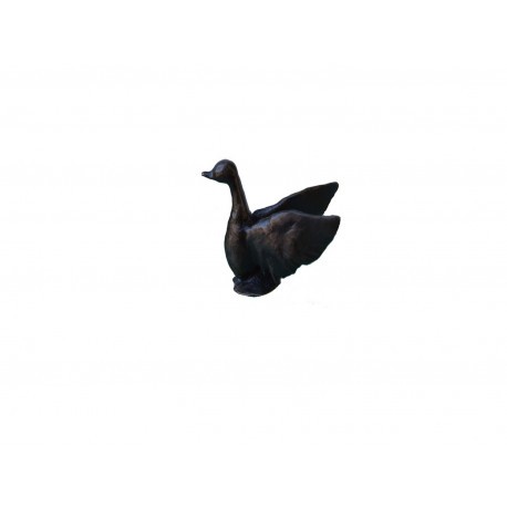 Etain canard posé