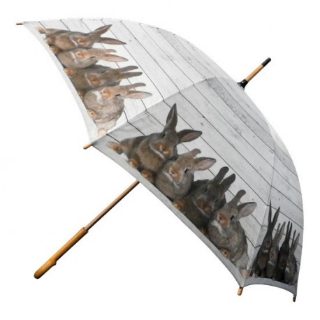Parapluie Lapins