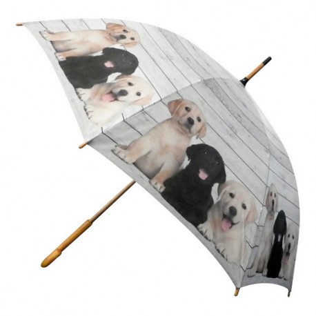 Parapluie Labradors