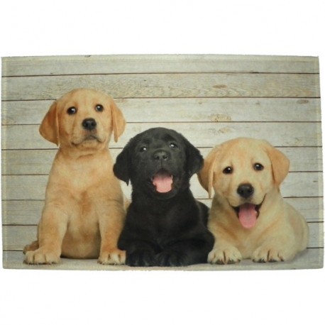 Tapis de cuisine chiots Labrador