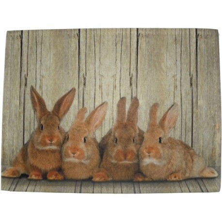 Tapis de cuisine famille Lapins