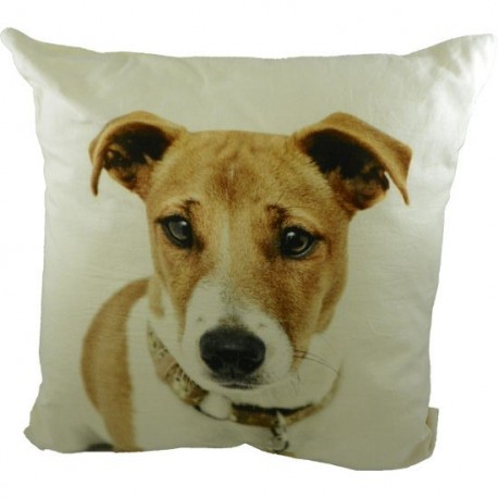 Coussin toile Jack Russel