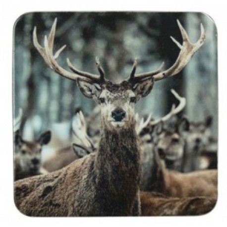 Sous-verres tête de cerf x 6