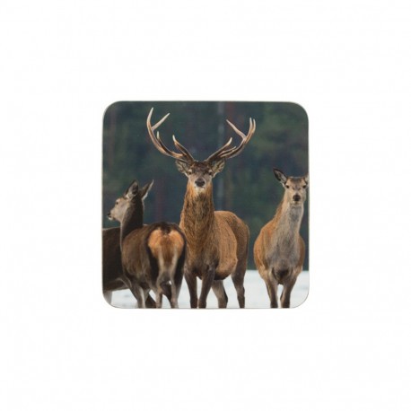 Sous-verres cerfs dans la neige x 6