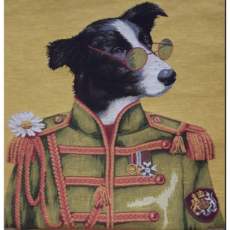 Coussin chien à lunettes fond jaune