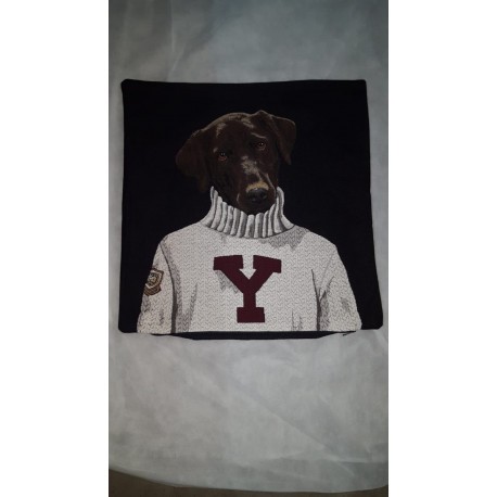 Coussin labrador noir collégien