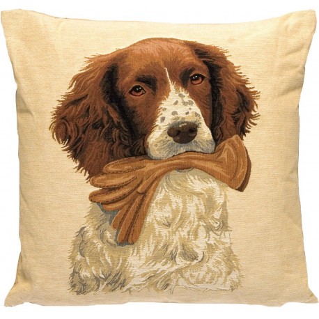 Coussin Chien avec gant