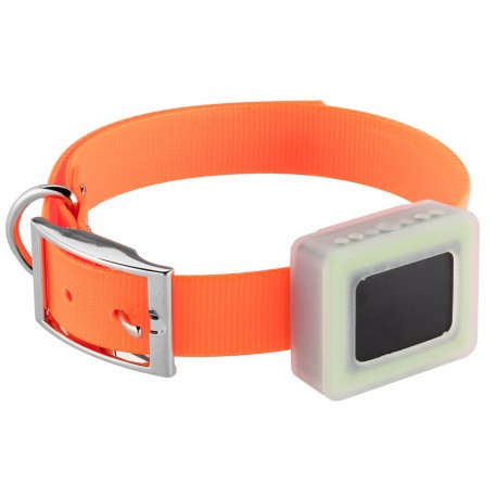 Collier de repérage GPS pour chien Weenect Pets