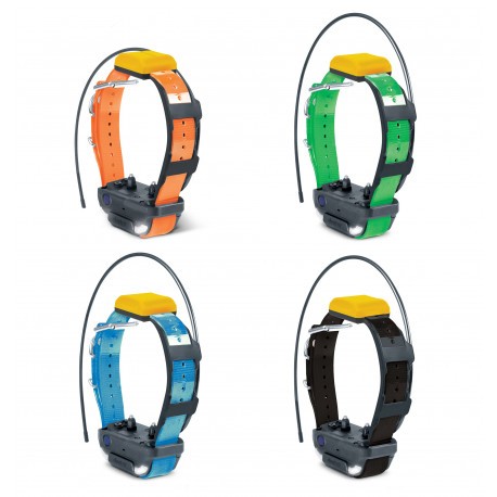 Collier suppl. dressage et repérage GPS Pathfinder 2 Dogtra 