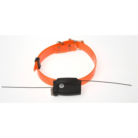 Collier supplémentaire Contact Pro +