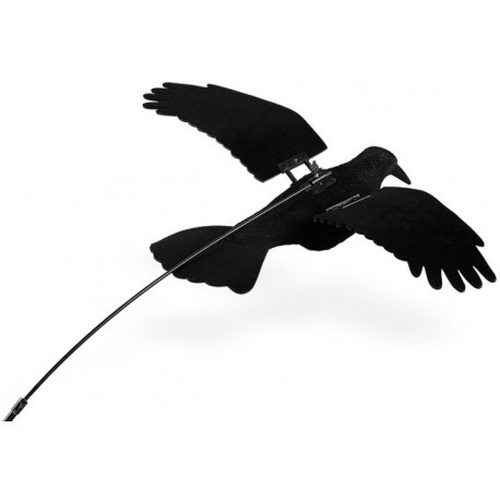 Flotteur avec appelant Corbeau floqué