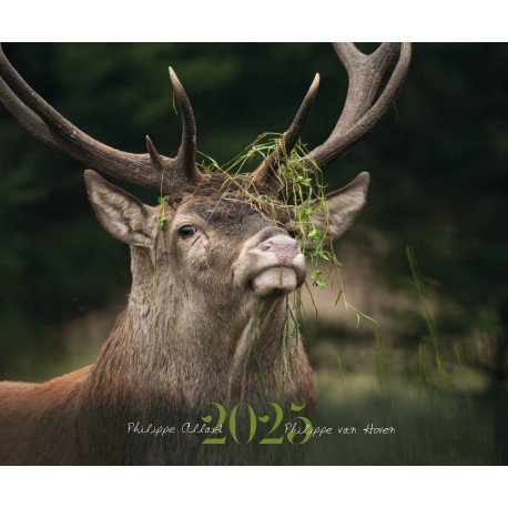 Calendrier animalier 2025
