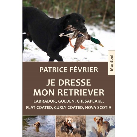 Je dresse mon retriever 