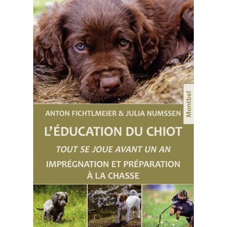 L'éducation du chiot