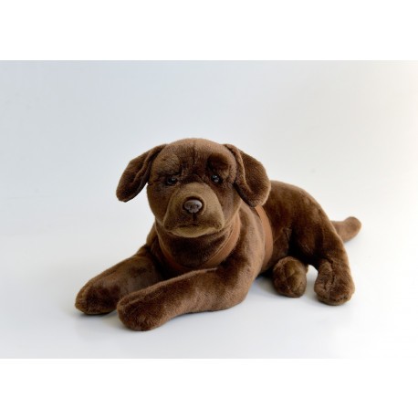 Peluche Labrador 50 cm
