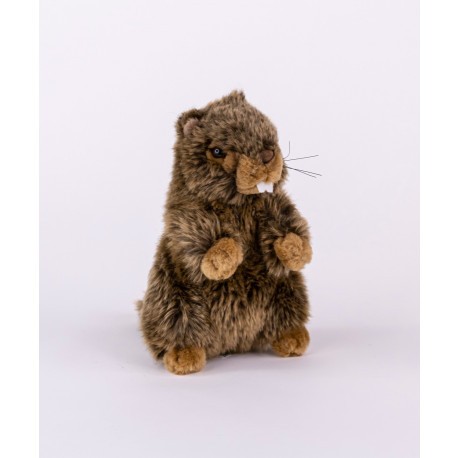 Peluche Marmotte 18 cm