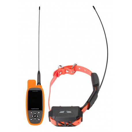 Ensemble de localisation GPS Canicom Mini avec stimulation