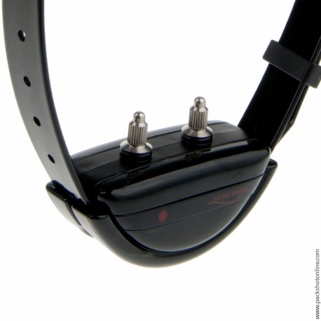 Collier supplémentaire Canifugue Pro