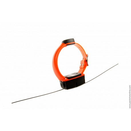 Collier supplémentaire Navidog