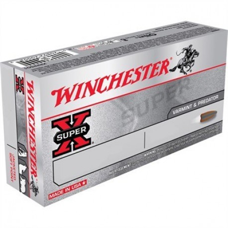 Cartouche Winchester / cal. 9,3x74 R - Super-X PP 18,5 g