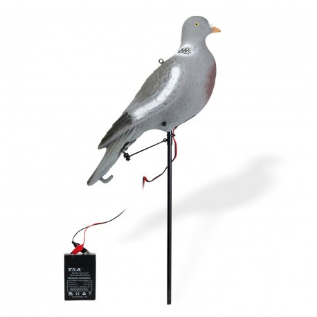Appelant Pigeon picoreur motorisé