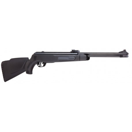 Carabine air comprimé Gamo Big Cat / 4,5 mm - 10 Joules